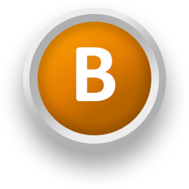 Business Document Presentation